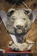Sbillsbear